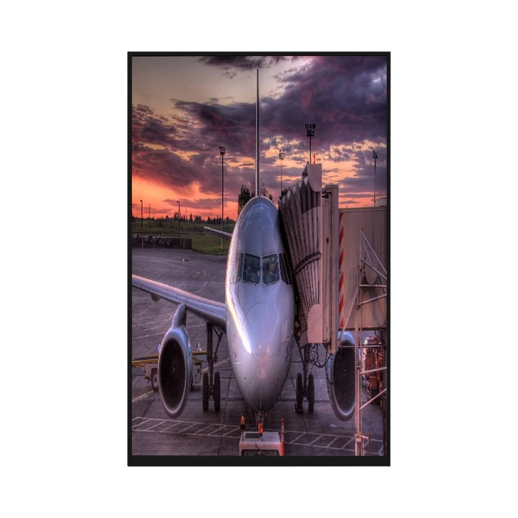 Panell de pantalla LCD AF132A11-M01 13.2 polzades