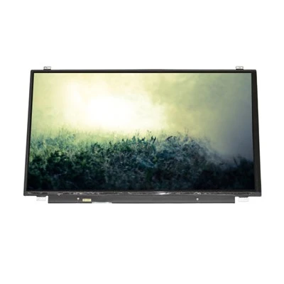 LTN156HL01-101 Pantalla LCD de 15,6 polzades 1920*1080 Portàtil LCD 60HZ per a Samsung