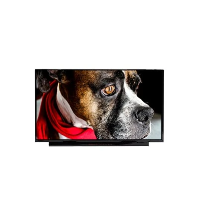 NE173QUM-NY1 Mida de 17,3 polzades TFT-LCD